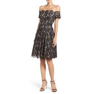 NWT Eliza J Embellished Lace Fit & Flare Dress 6